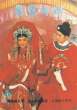 同命鸳鸯(1960)