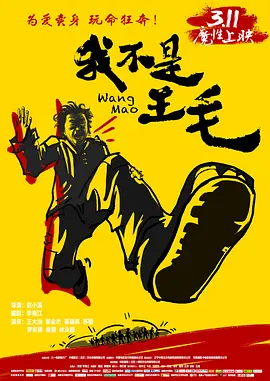 我不是王毛(2014)