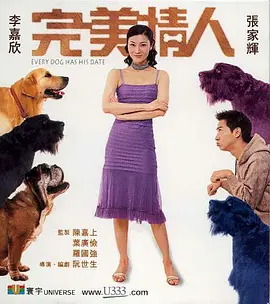 完美情人(2001)