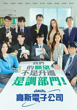 高斯电子公司(2022)