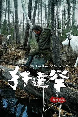 犴达罕(2013)