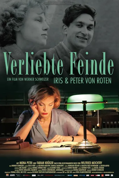 恋爱中的敌人(2013)