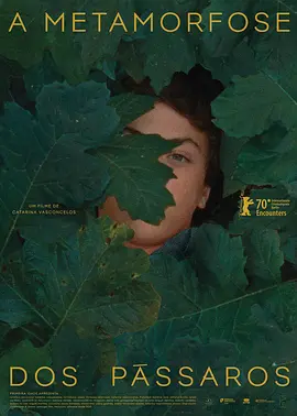 鸟类变形记(2020)