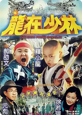 龙在少林(1996)