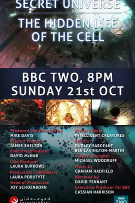 人体奥妙之细胞的暗战(2012)