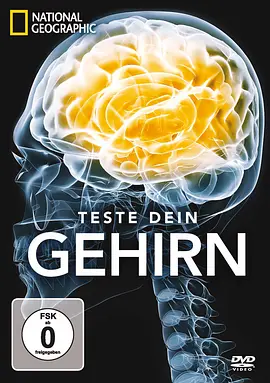 脑力大挑战(2012)