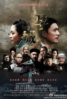 孕城(2014)
