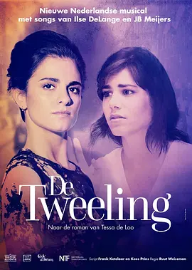 烽火孪生泪(2002)