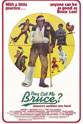 他们叫我布鲁斯(1982)