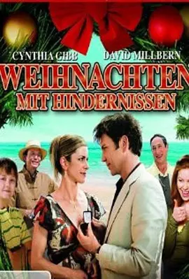 意外的圣诞节(2007)