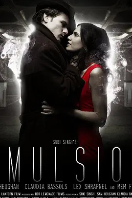 妻子失踪悬案(2014)