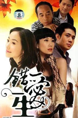 错爱一生(2005)
