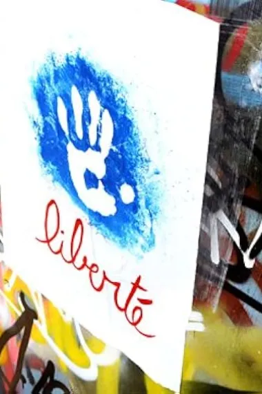 A Brief History of Graffiti(2015)