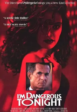 我的危险夜(1990)