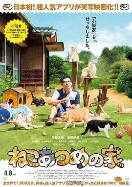 猫咪后院之家(2017)