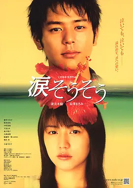 泪光闪闪(2006)