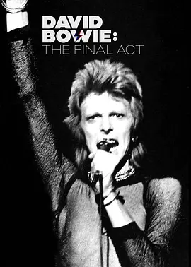 鲍伊：最终幕(2025)
