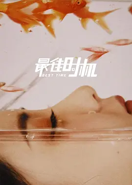 最佳时机(2022)