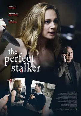 The Perfect Stalker(2016)