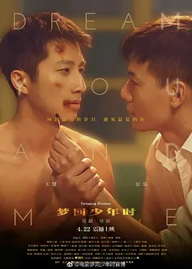 梦回少年时(2017)