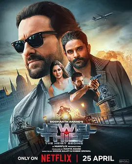 珠宝大盗：神偷出马(2025)