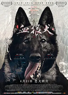 血狼犬(2017)