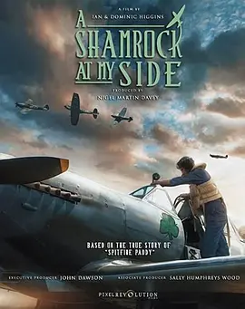 我身边的三叶草(2024)