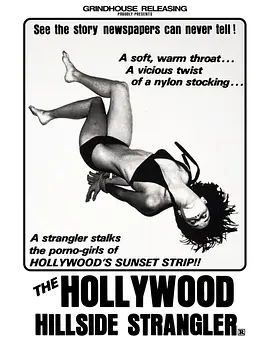 好莱坞 90028(1973)