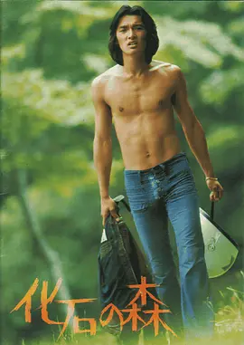 石化森林(1973)