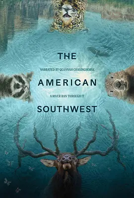 美国西南部(2025)