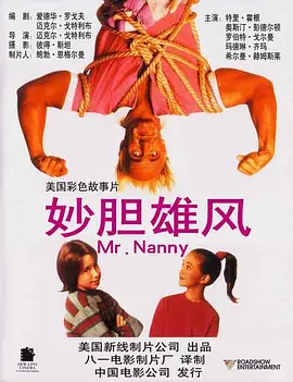 保姆先生(1993)