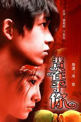 我只在乎你(2004)
