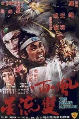 风雨双流星(1976)
