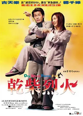 干柴烈火(2002)