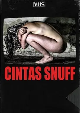 暴力录像带(2020)