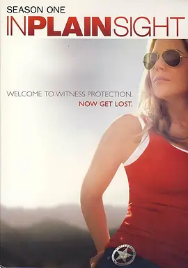 平地风云(2008 - 2012)