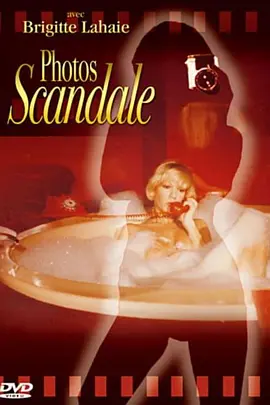 照片丑闻(1979)