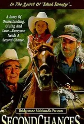 第二次机会(1998)
