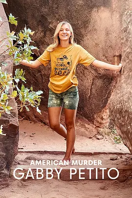 美国谋杀故事：网红情杀之谜(2025)