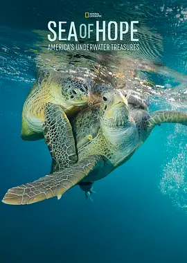 希望之海：美国海底之宝(2017)