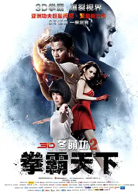 冬荫功2：拳霸天下(2013)