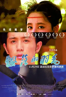 飘落的羽毛(2013)