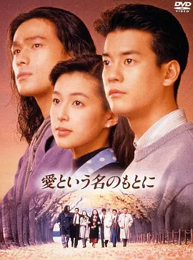 在爱的名义下(1992)