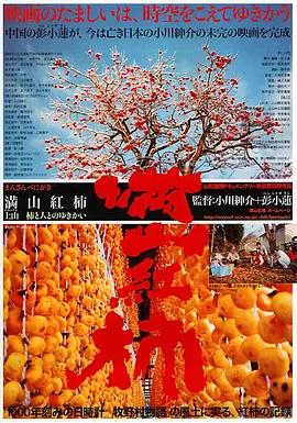 满山红柿(2001)