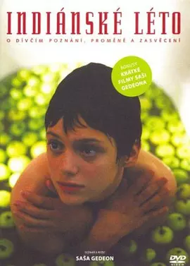 印第安夏日(1995)