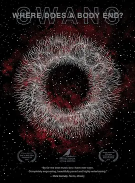 尸体在何处终结？(2019)