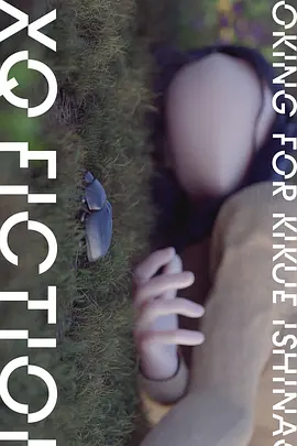 TXQ FICTION 寻找石永菊江(2024)