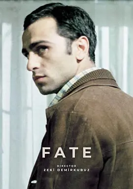 命运(2001)
