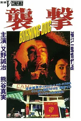 袭击(1991)