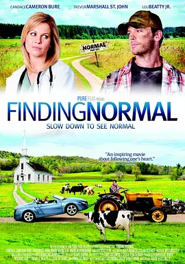 Finding Normal(2013)